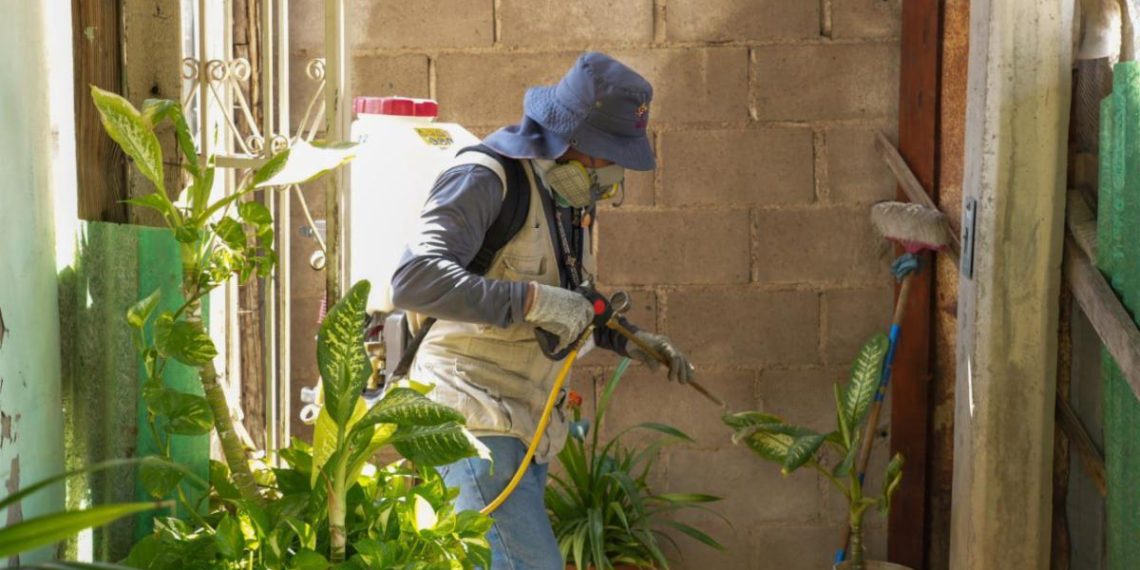 Intensifica Gobierno de Sonora acciones de control del dengue en el estado