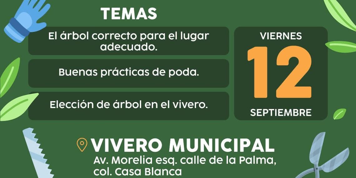 Realizará Ayuntamiento de Hermosillo taller “Crece tu Árbol” -Será de manera gratuita este 12 de septiembre para aprender a elegir y cuidar especies adecuadas
