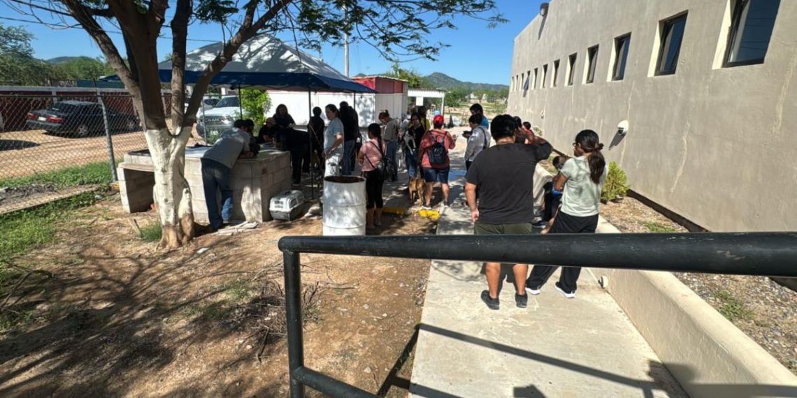 Beneficia Gobierno de Sonora la salud animal con jornada de esterilización en San Pedro