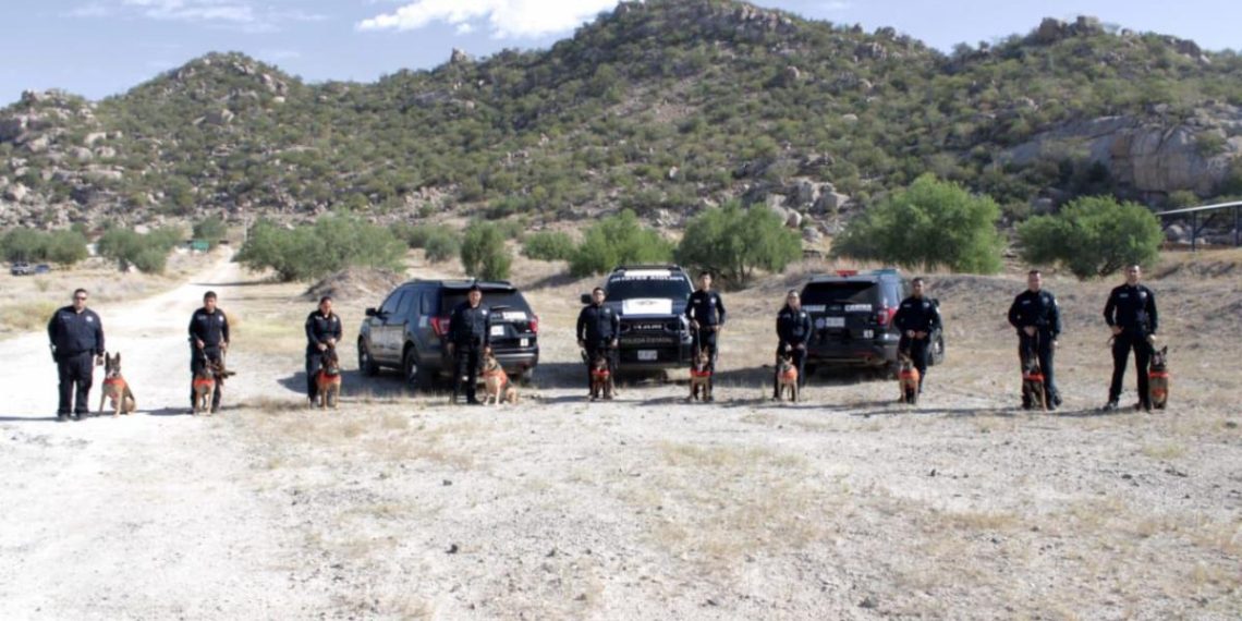 Cuenta Gobierno del Estado con Unidad Especializada K-9