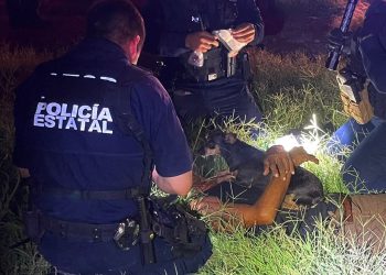 Paramédicos de la Policía Estatal auxilian a ciudadano durante incendio en Cajeme: Gobierno de Sonora