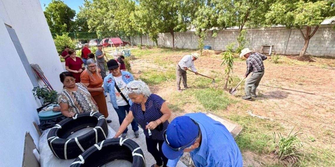 Difunde Gobierno de Sonora el padrón de personas beneficiarias del Programa Fomentando el Envejecimiento Activo: ISAAM