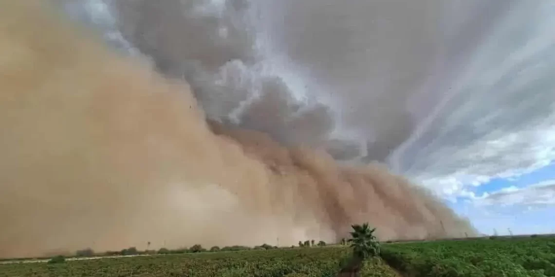 Tormenta de arena y lluvias azotan Caborca