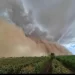 Tormenta de arena y lluvias azotan Caborca