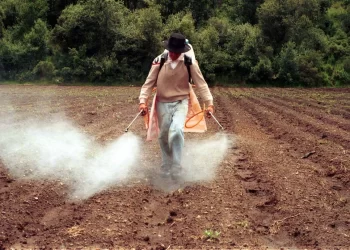 Publican en DOF decreto que prohíbe producción, venta y uso de 35 plaguicidas