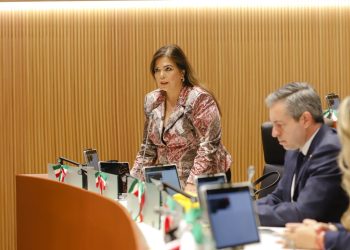 Diputada Ana Gabriela Tapia Fonllem vota en contra de la reforma que fortalece la militarización