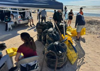 Se suma Gobierno de Sonora a jornada internacional de limpieza de costas: Cobach