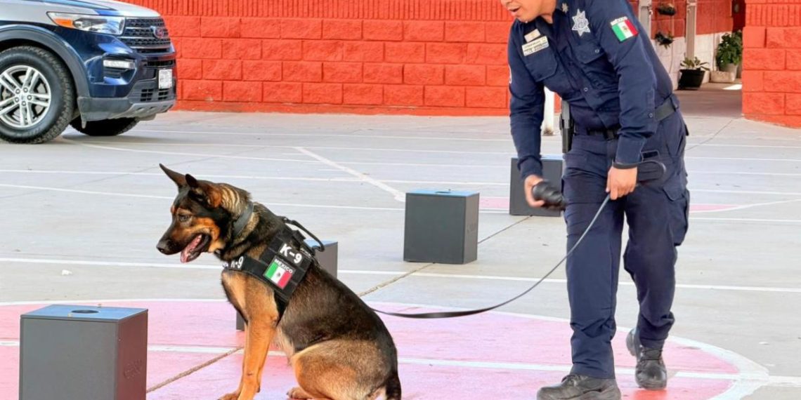 Policía Estatal en acciones para la prevención del delito en Los Olivos
