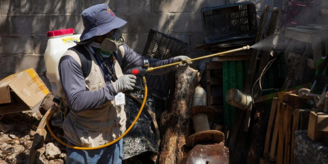 Atiende Gobierno de Sonora proliferación de mosco portador del dengue en el estado