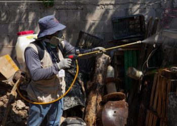 Atiende Gobierno de Sonora proliferación de mosco portador del dengue en el estado