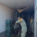 Aseguran Ejército Mexicano y Guardia Nacional cargamento con 1,175 kilos de droga en San Luis Río Colorado