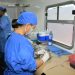 Rompe récord Ayuntamiento de Hermosillo en número de esterilizaciones de perros y gatos