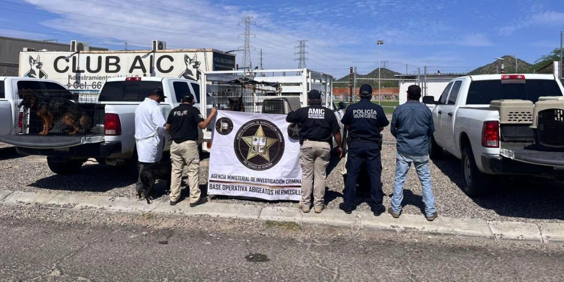 Asegura AMIC 30 caninos en cateo en investigaciones por maltrato animal en Hermosillo