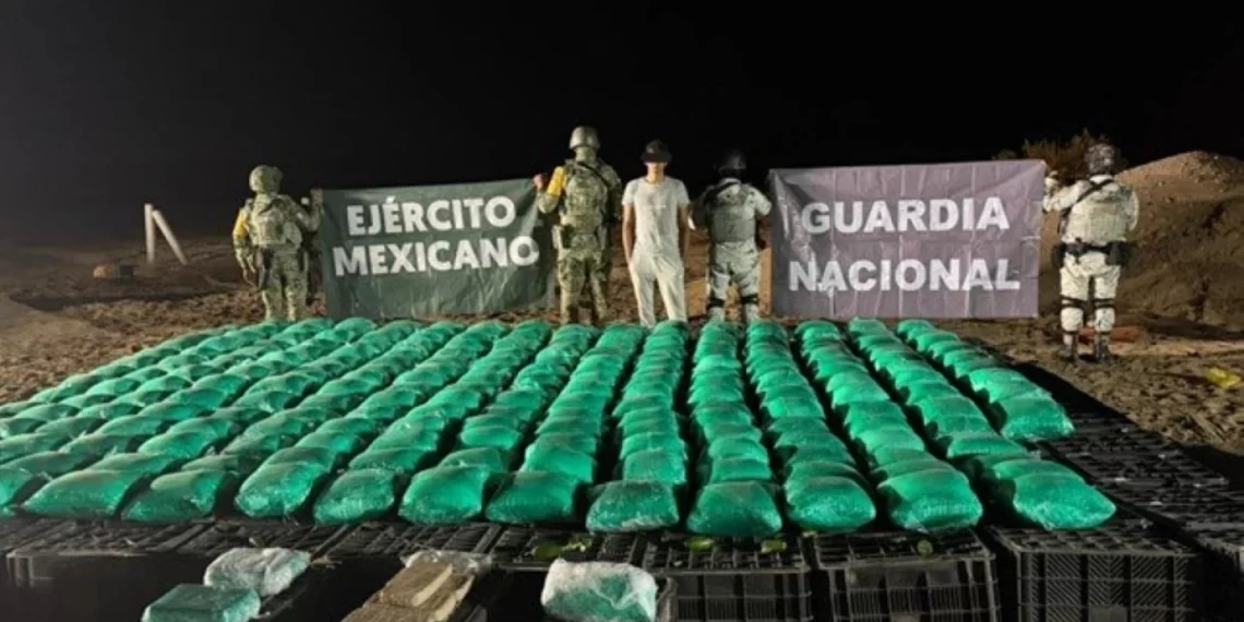 Ejército Mexicano asegura más de una tonelada de droga oculta en cajas de chile jalapeño en S.L.R.C.