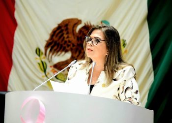 La diputada Ana Gabriela Tapia Fonllem presentó un posicionamiento relacionado a las cuentas públicas 2024
