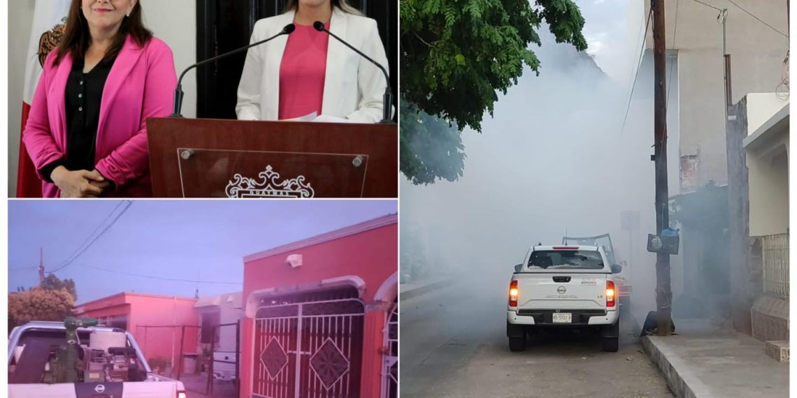 Realiza Ayuntamiento de Guaymas y Secretaría de Salud campaña intensiva de fumigación