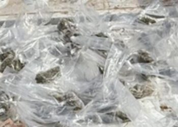 Incautan más de 100 envoltorios con narcótico en Cajeme