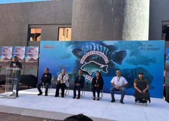 Sagarhpa impulsa el consumo de tilapia con participativa Muestra Gastronómica