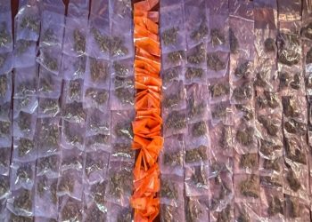 Asegura Policía Estatal 180 envoltorios de narcótico en San Pedro El Saucito