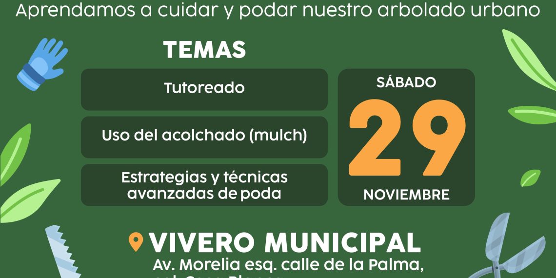 Realizará Gobierno de Hermosillo Taller “Crece Tu Árbol” nivel avanzando este sábado 29 