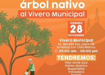 Habrá jornada de donación de árboles nativos el próximo viernes en Hermosillo