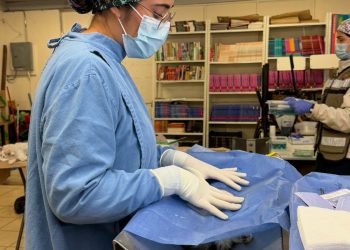 Bienestar Animal impulsa jornada gratuita de esterilización en Hermosillo