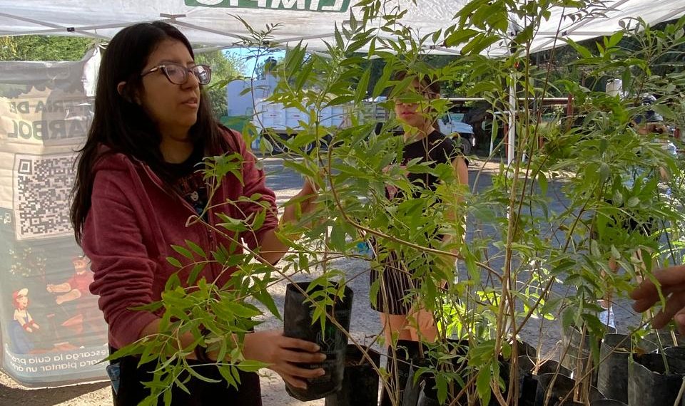 Celebran con éxito jornada 50 de donación de árboles nativos en Hermosillo