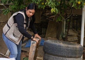Llama Secretaría de Salud a reforzar prevención contra el dengue ante llegada de clima frío