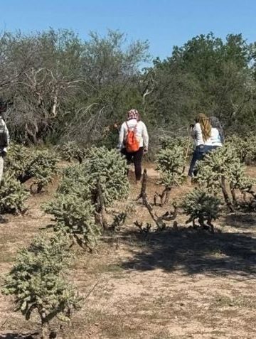 Localizan restos humanos calcinados en Hermosillo