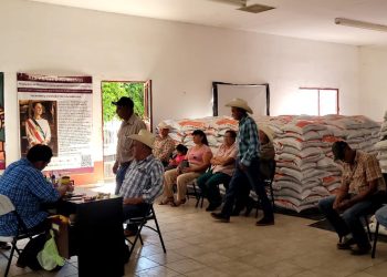 SADER Sonora impulsa entrega intensiva de fertilizante en Cajeme y Navojoa