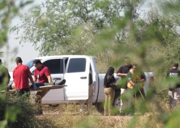 Flota cadáver en el Canal Alto, al oriente de Ciudad Obregón
