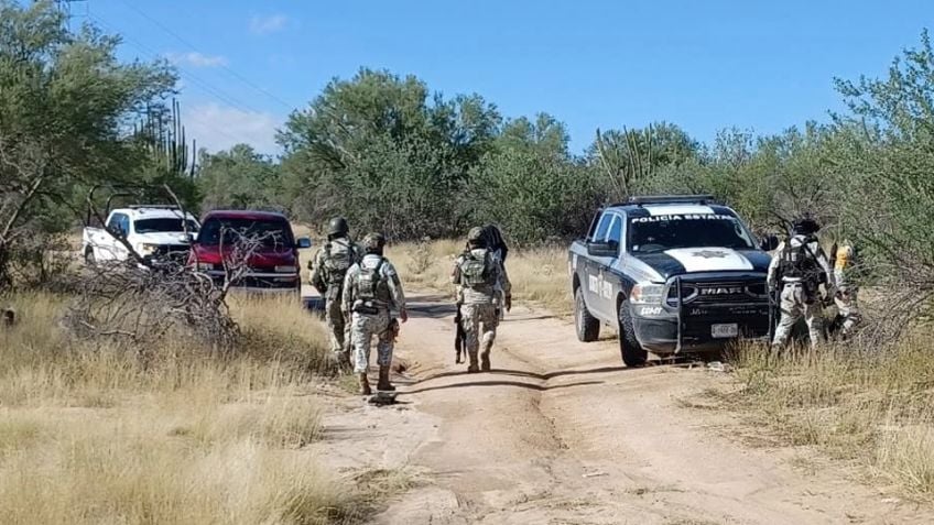 Hallan dos fosas clandestinas en San Pedro El Saucito