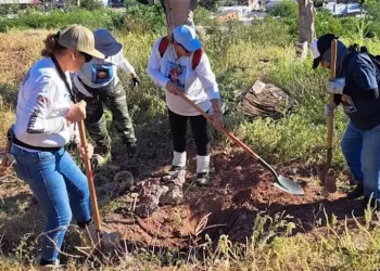 Hallan dos osamentas en Guaymas