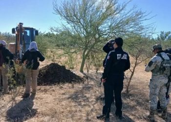 Localizan nuevo cuerpo en cementerio clandestino de Hermosillo; sube la cifra a 65 víctimas