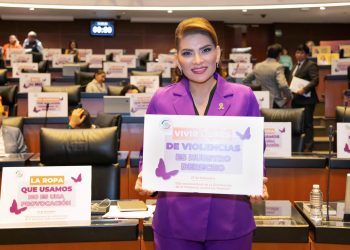 Reforma al Código Penal Federal fortalecerá sanción contra el abuso sexual: Lorenia Valles