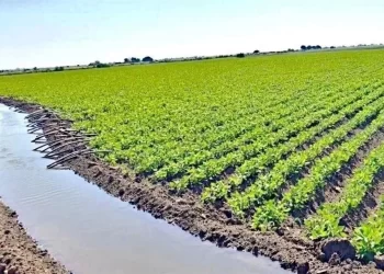 Afirman campesinos que reforma de aguas es un golpe al campo