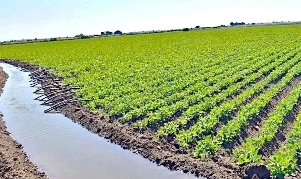Afirman campesinos que reforma de aguas es un golpe al campo