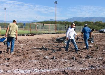 Crea Universidad de la Sierra el primer bosque con técnica Miyawaki