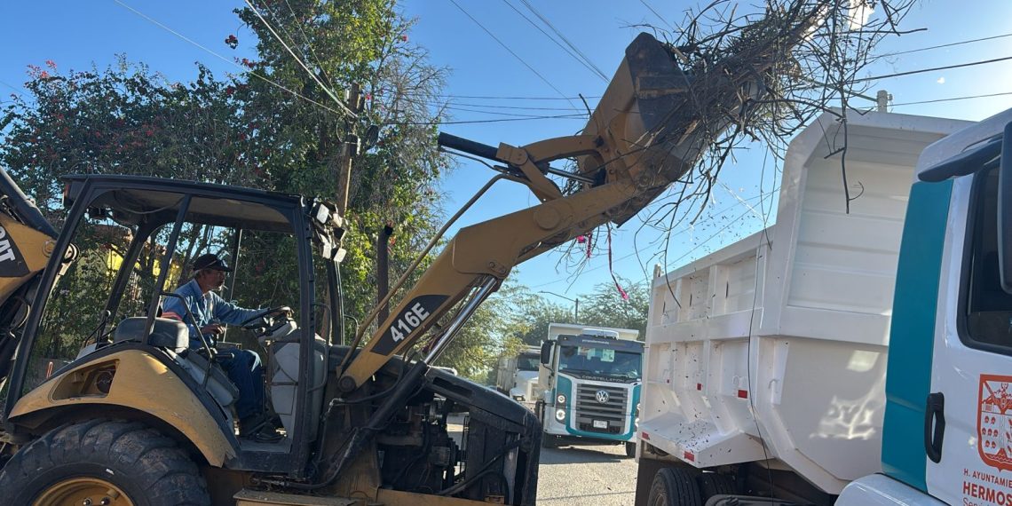 Retira Ayuntamiento de Hermosillo más de 100 toneladas de desperdicios en descacharre