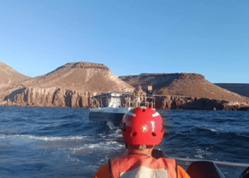 Hallan con vida a 5 buzos extranjeros reportados como desaparecidos