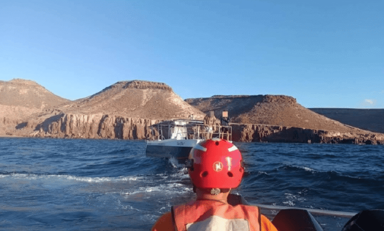 Hallan con vida a 5 buzos extranjeros reportados como desaparecidos