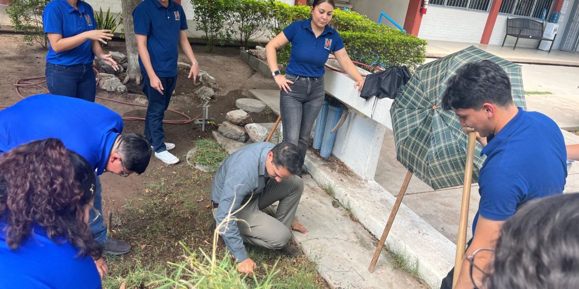 Estudiantes de la Normal del Estado fortalecen su formación integral con huerto escolar: Creson