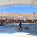 Gobierno de Sonora invita a visitar el Delfinario Sonora durante el periodo vacacional