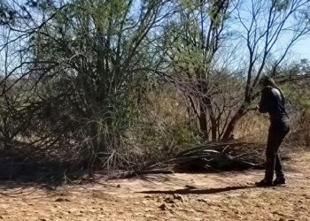 Localizan cuerpo en avanzado estado de putrefacción a espaldas del aeropuerto de Hermosillo