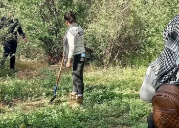 Localizan restos óseos en terreno de San José de Guaymas