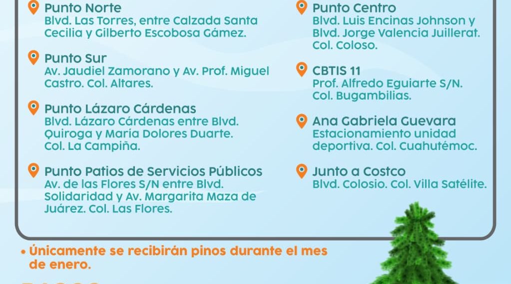 Invita Ayuntamiento de Hermosillo a depositar árboles navideños en centros de acopio