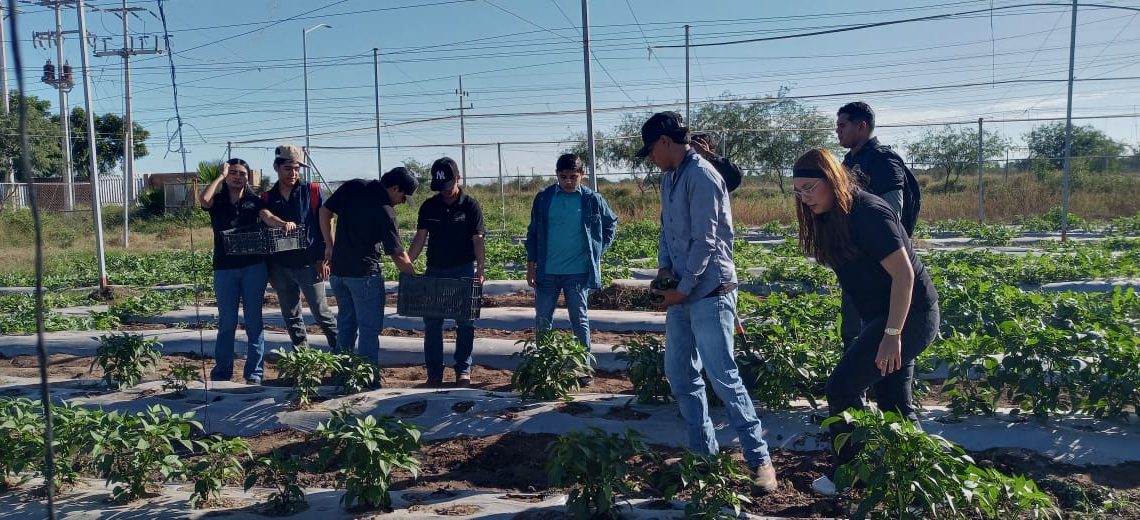Impulsa UTEtchojoa perfiles profesionales altamente competitivos en el sector agrícola