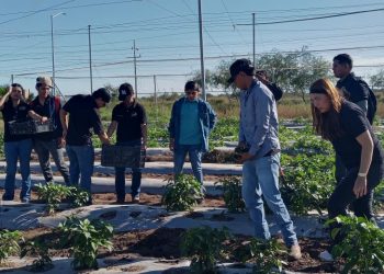 Impulsa UTEtchojoa perfiles profesionales altamente competitivos en el sector agrícola