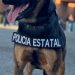 Unidad Canina K-9 de la Policía Estatal clave en la seguridad de Sonora
