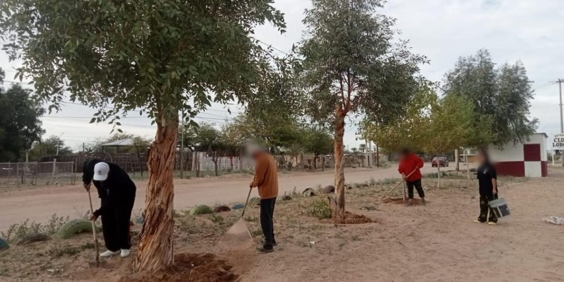 Jornada Permanente por la Paz recupera espacios públicos en San Luis Río Colorado